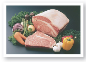 �T�[���C���C���[�W